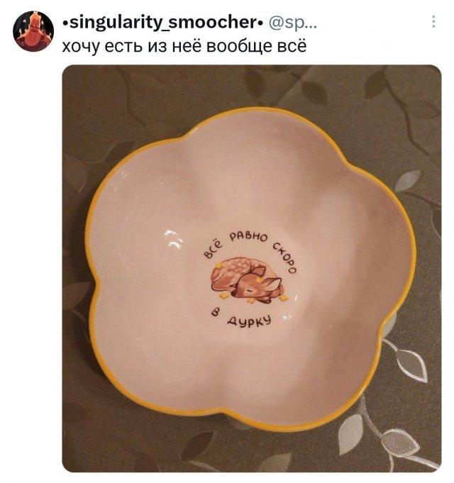 �������� �������� ������ ��� ���� (15 ����)
