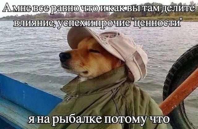 ������� �������� (15 ����)