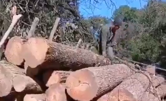 ������� � ���� ��� ������ ���� (�����)