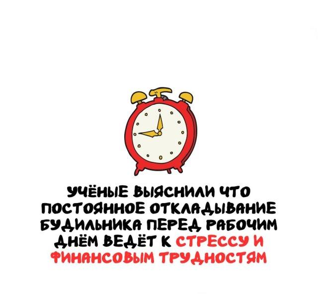 Интересные факты на все случаи жизни (15 фото)