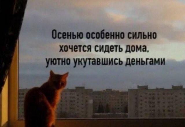 ������� �������� (15 ����)