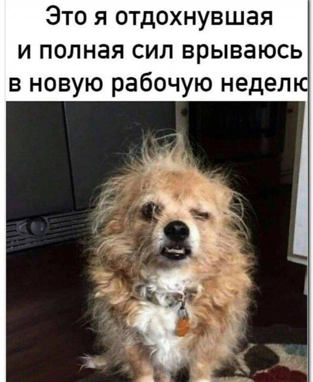 �������� ���������� ���� �4066 (30 ����)