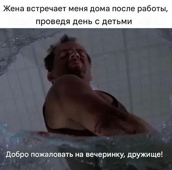 ������� ���� (15 ����)
