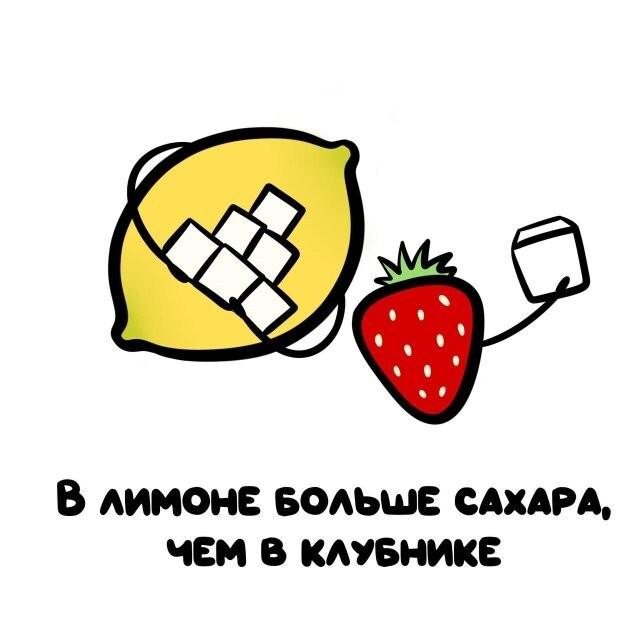 ���������� ����� �� ��� ������ ����� (15 ����)