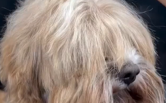 �� ��������� � �������� �������� (�����)