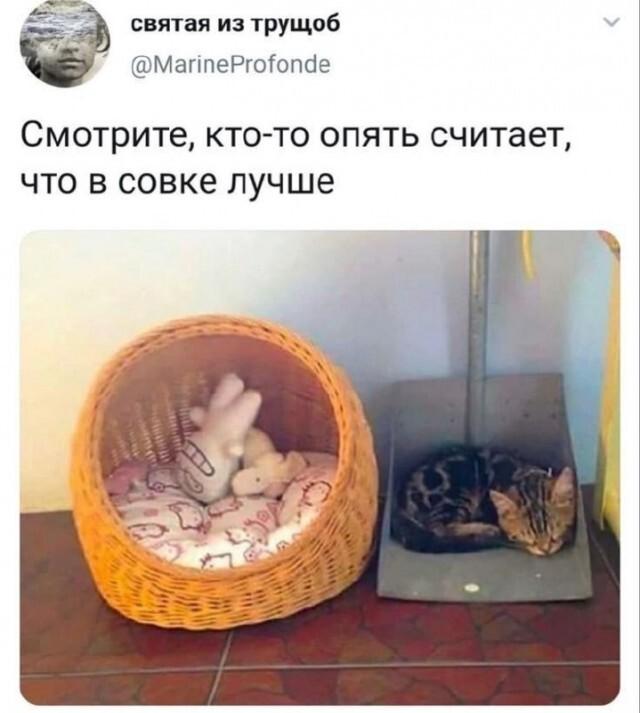 �������� �������� ������ ��� ���� (15 ����)