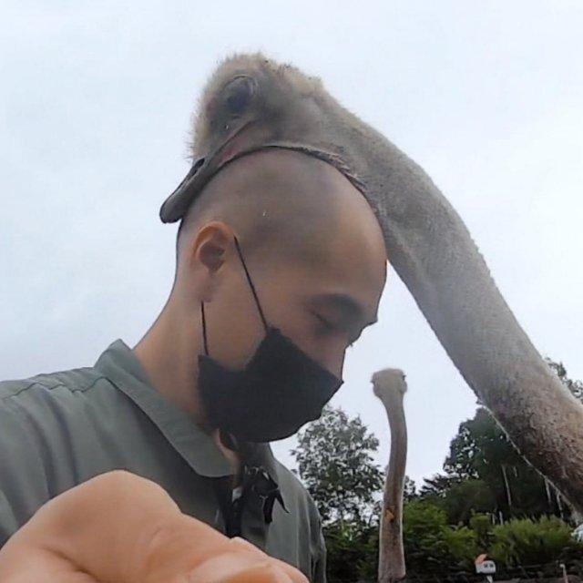 �����������, ������� ����� ����� ����� (7 ���� + �����)