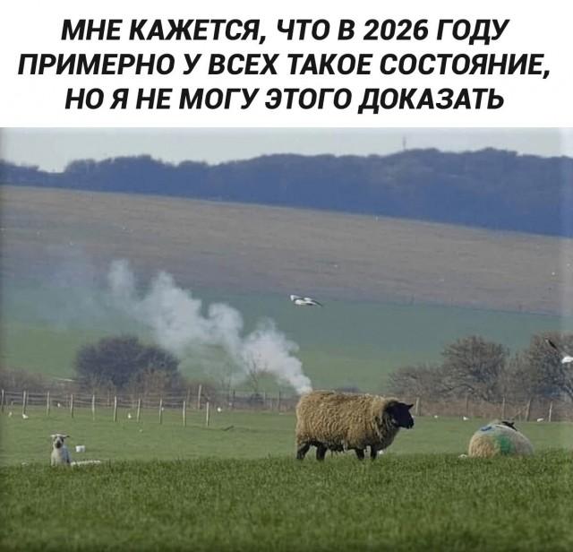 �������� ���������� ���� �4069 (30 ����)